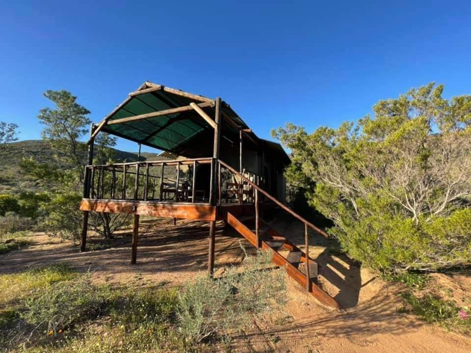 Luxury tent Agama Tented Camp
