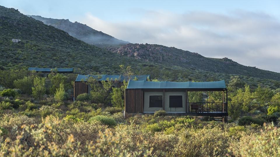 Luxury tent Agama Tented Camp *