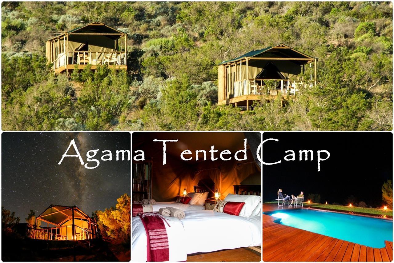 Agama Tented Camp Garies